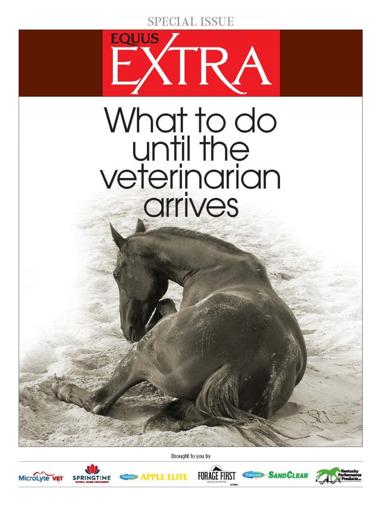 COVER EQ_EXTRA-SPECIAL-ISSUE_UTVA_fnl_Page_01