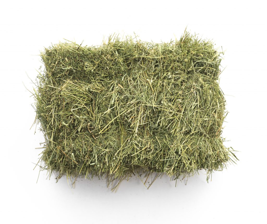 bale of hay