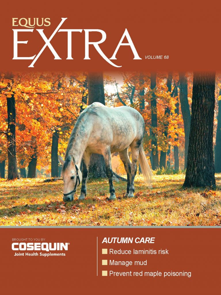 COVER REV EQ_EXTRA-VOL68 Autumn Care