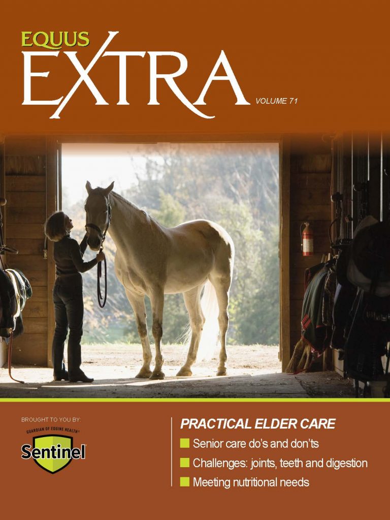 COVER EQ_EXTRA-VOL71 Elder Care_FNL_Page_01