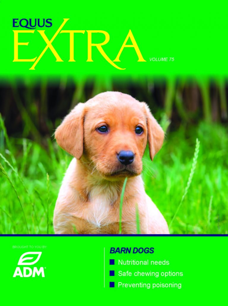 Cover of EQUUS Extra on Barn Dogs