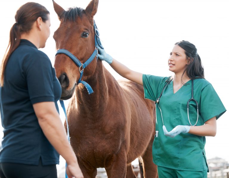 Shot of an attractive young veterinarian standing with a horse and its owner on a farm