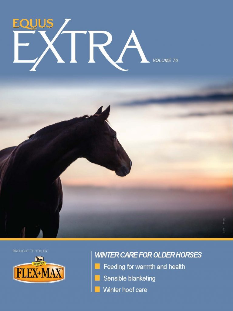 COVER EQ_EXTRA-VOL76 Winter Care_fnl_Page_01