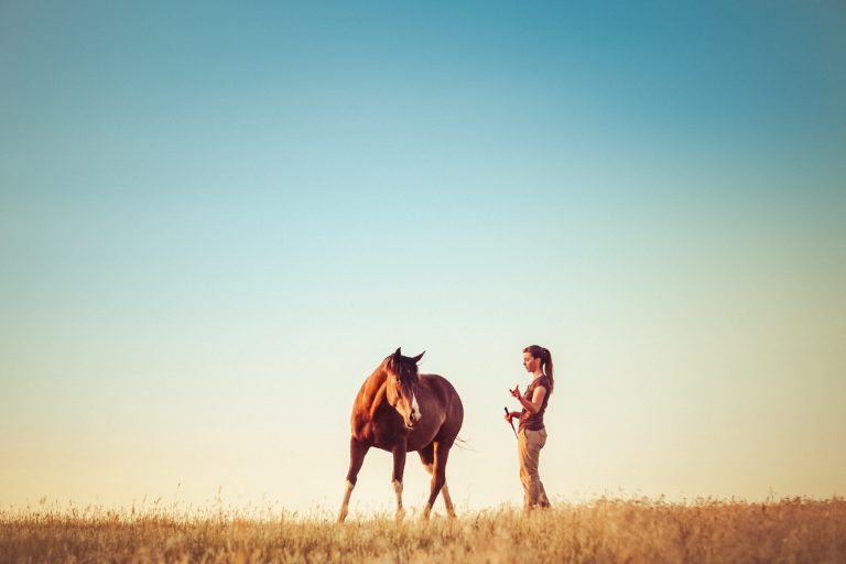 Young Woman Training Horse