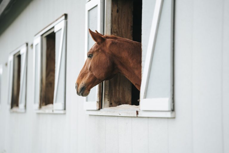 Horse Barn