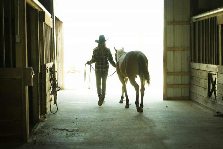 Silhouette of girl leading horse out of barn