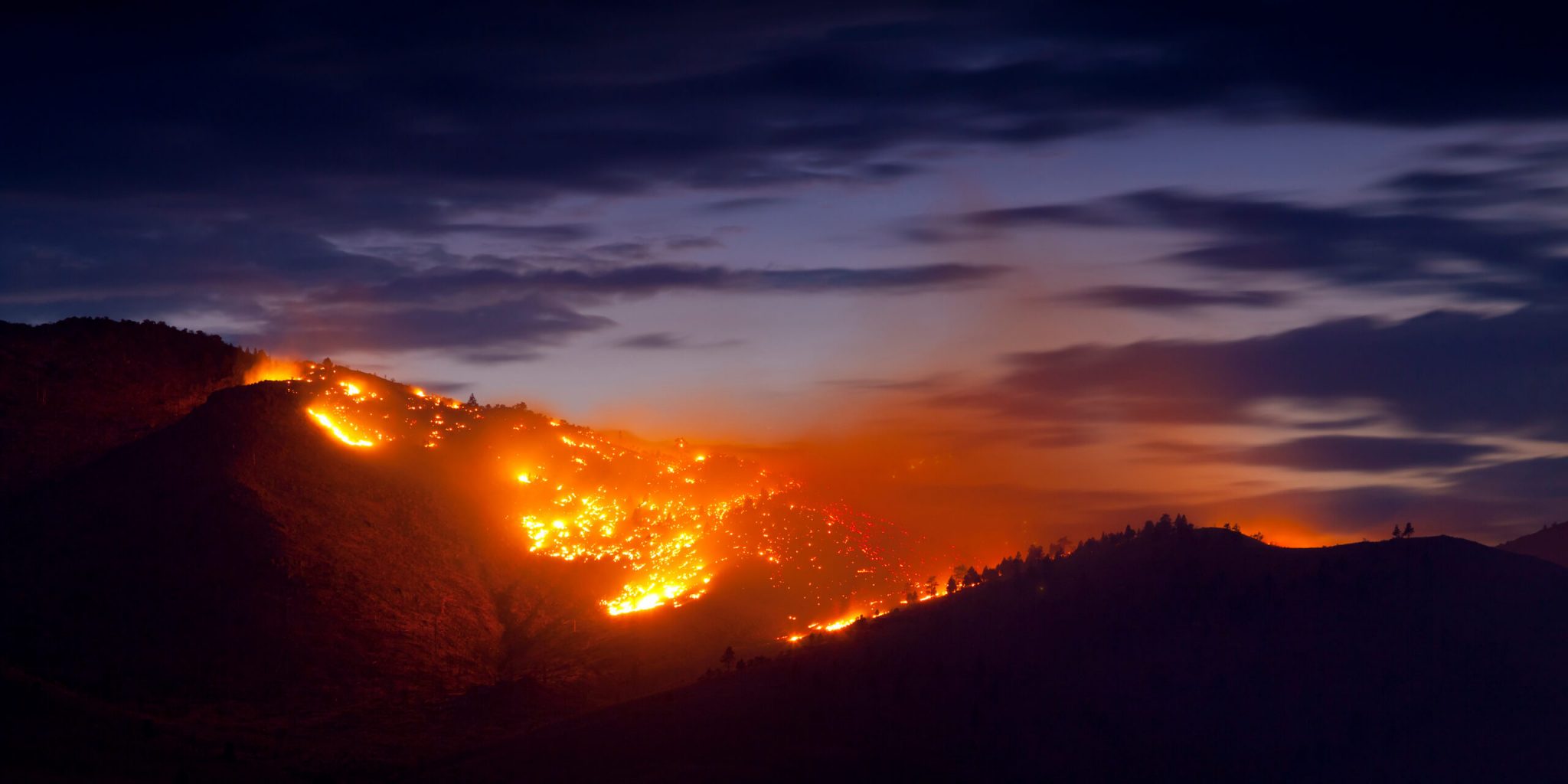 Burning Wildfire at Sunset-scaled