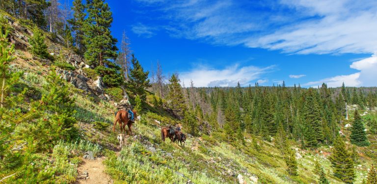 Trail riding in the Rocky Mountains