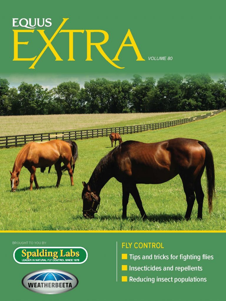COVER REV3 EQ_EXTRA-VOL80 Fly Control_fnl_Page_01