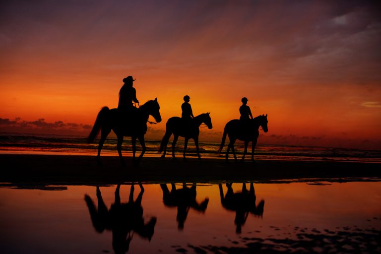 Silhouetted English and Western riders
