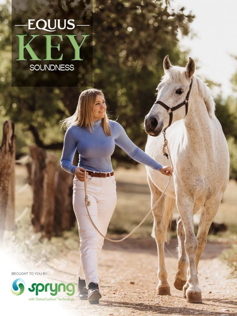 Cover of EQUUS Key 11 on Soundness