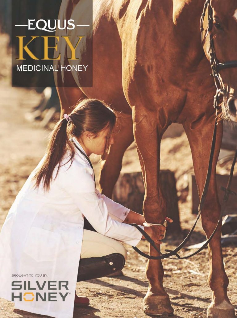 Woman in white coat bandaging horse's leg