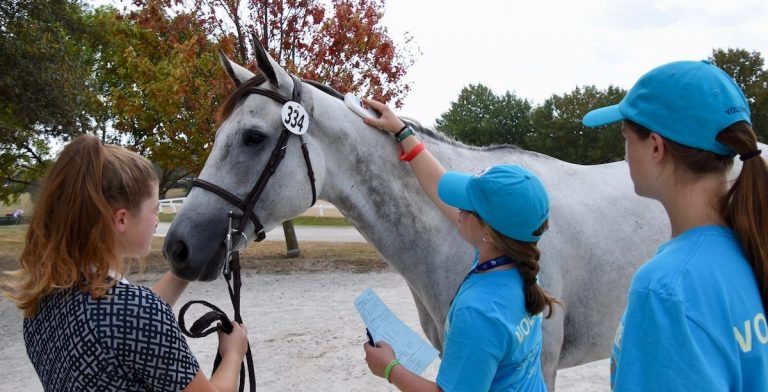Three people, two in blue volunteer outfits, with gray horse