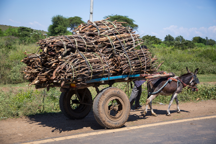 Donkey pulls heavy load of firewood along road in Ethiopia