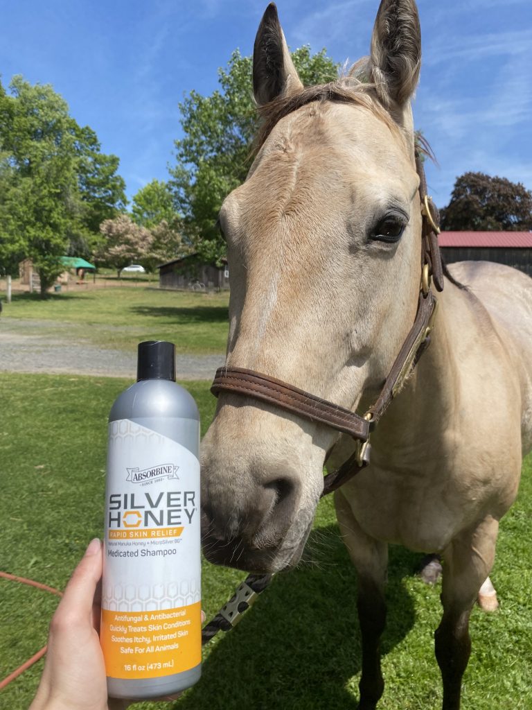 SilverHoney_Shampoo_UGC_Bambi (2)