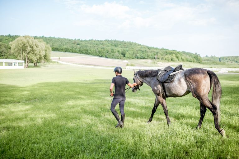 Horse rider walking with horse outdoors