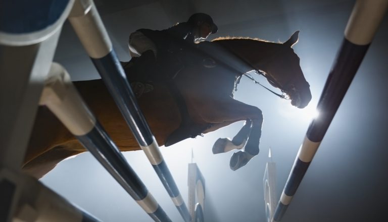 Shot taken from underneath jumping horse at night under lights