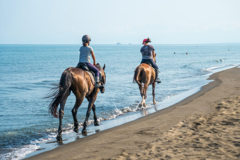 Galloping on a horse of the sea at sunny day