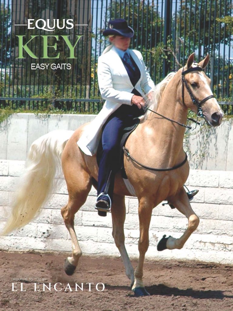 COVER EQ Key 13 Easy Gaits El Lugar