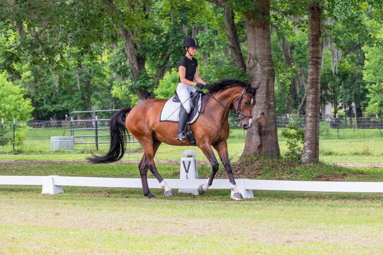 Rider on bay horse cantering in dressage arena