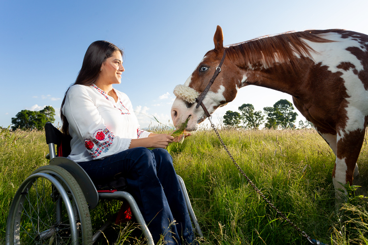 Woman in wheelchair pets pinto horse