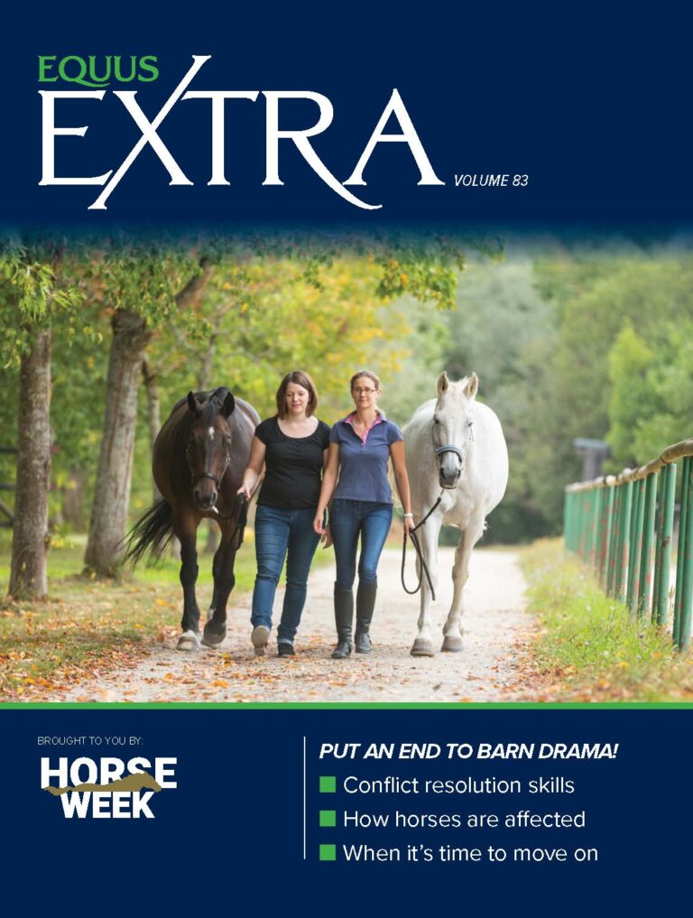 COVER EQ_EXTRA-VOL83_fnl_Page_1