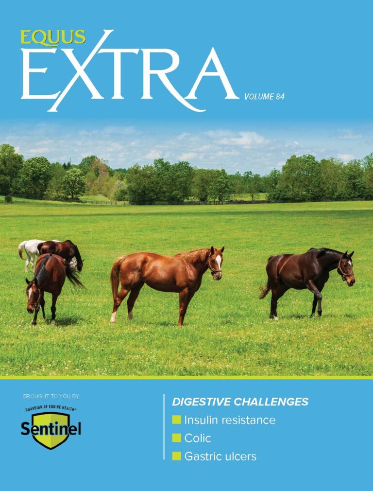 Grazing horses. Cover for EQ Extra 84, Digestive Challenges