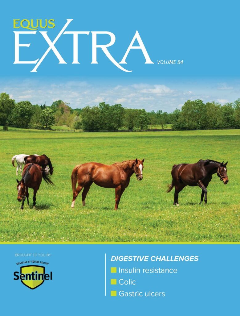 Grazing horses. Cover for EQ Extra 84, Digestive Challenges