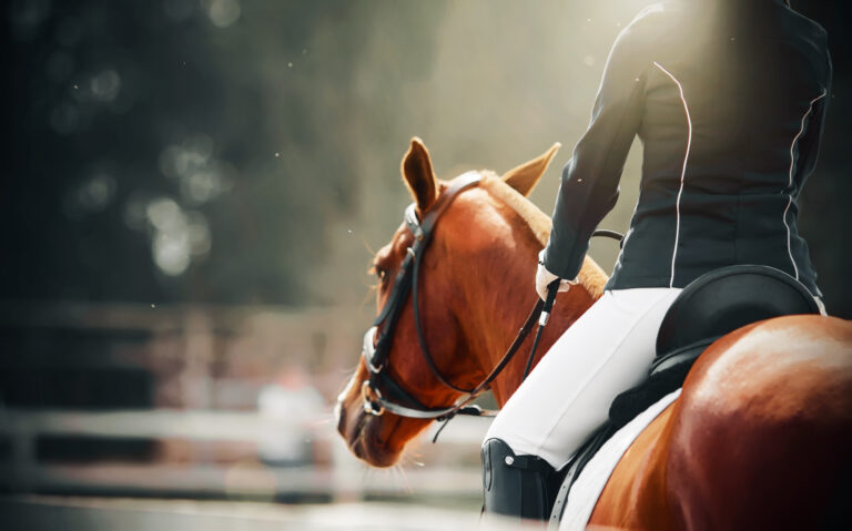 A rear view of a sorrel horse with a rider in the saddle, pacing in a paddock next to a white fence and illuminated by rays of sunlight