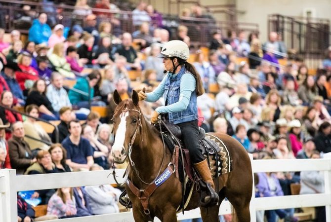 Rider on horse addressing expo crowd