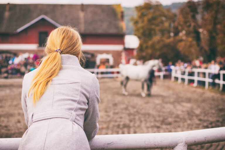 Blonde woman is watching a horse auction, English thoroughbred on a show
