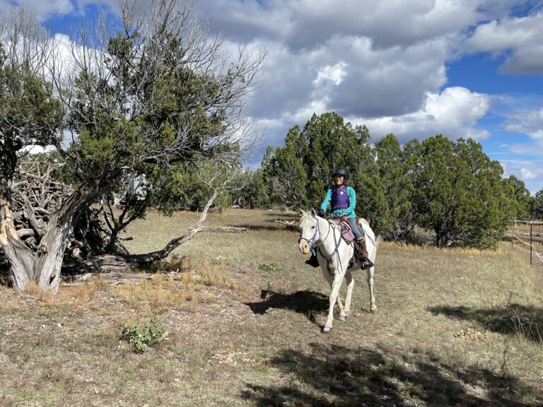 Bou_trot_IMG_9934