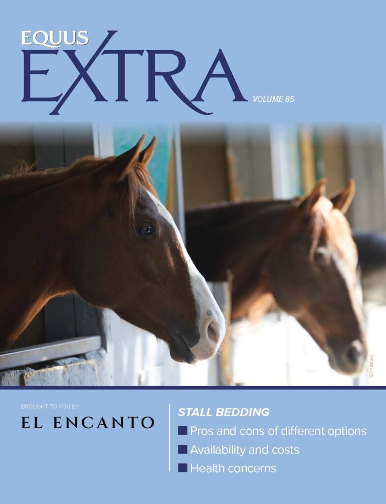 Image of cover of EQUUS Extra 85: Bedding basics