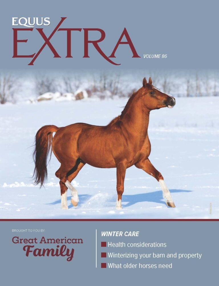 COVER EQ_EXTRA-VOL86 Winter Care_fnl_Page_1