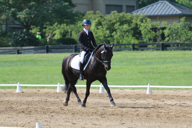 Young dressage rider and pony at USPC Festival
