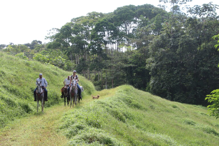 Riding horses across Costa Rica.