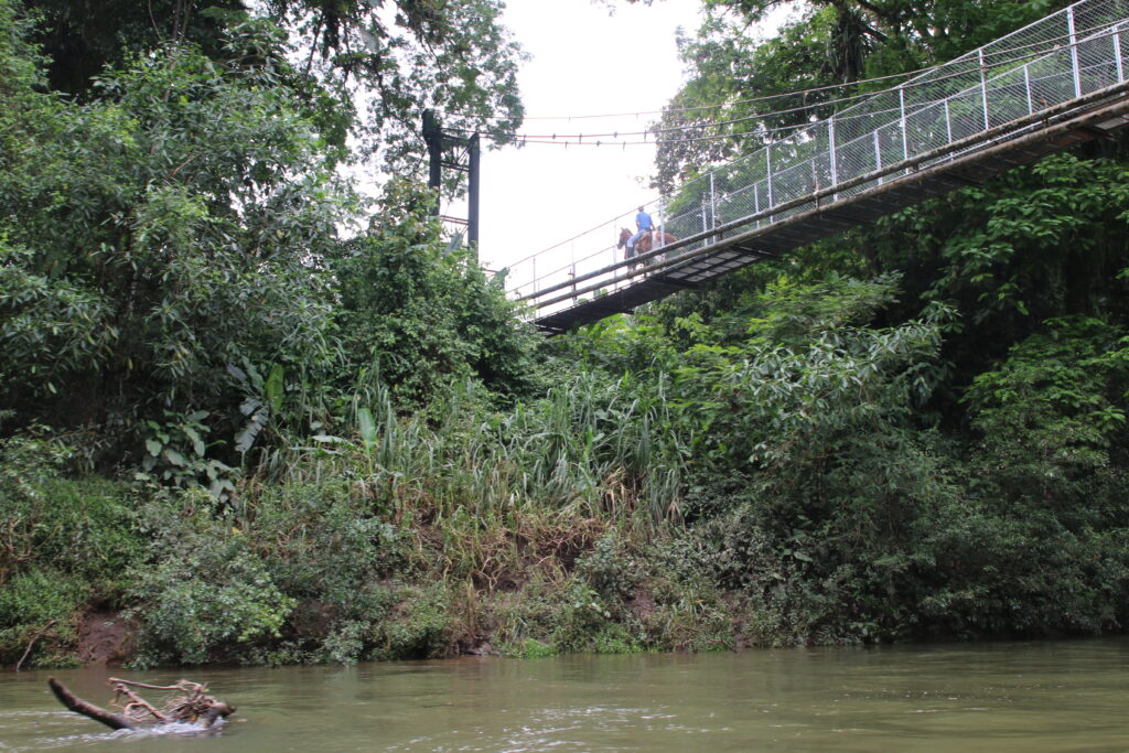 A suspension bridge above the Sarapiqui River. 