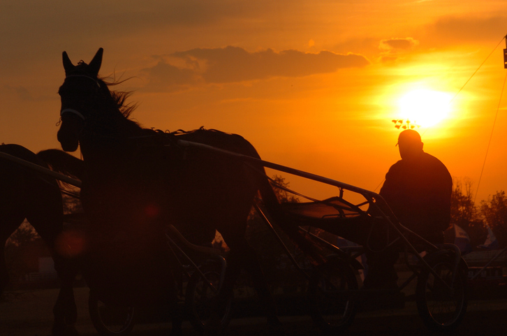 Horses pulling a cart at sunrise