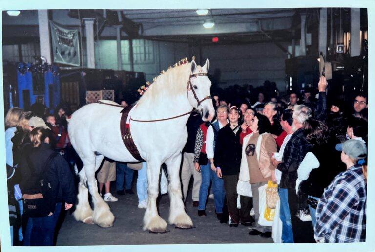 01-MA-Shire-Isaac-courtesy-Equine-Affaire