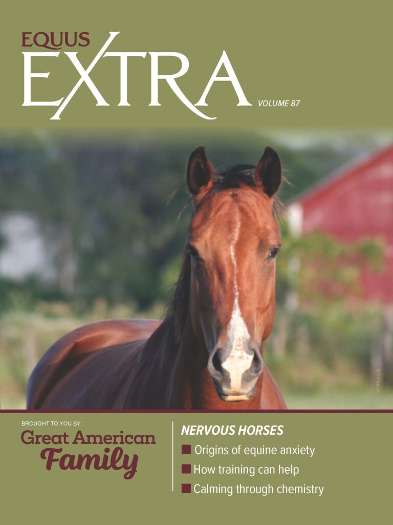 COVER EQ_EXTRA-VOL87