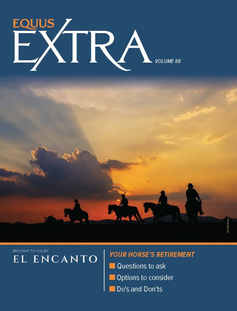 COVER EQ_EXTRA-VOL88