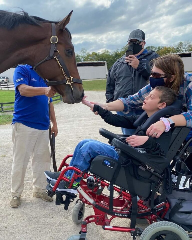 Boy in wheelchair reaches out to pet racehorse