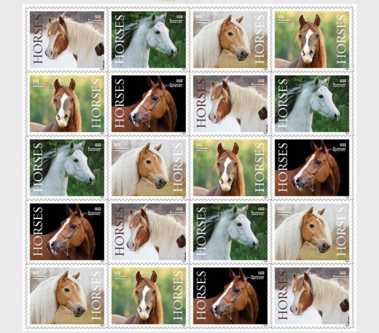 Panel of prelim designs for 2024 horse stamps from USPS