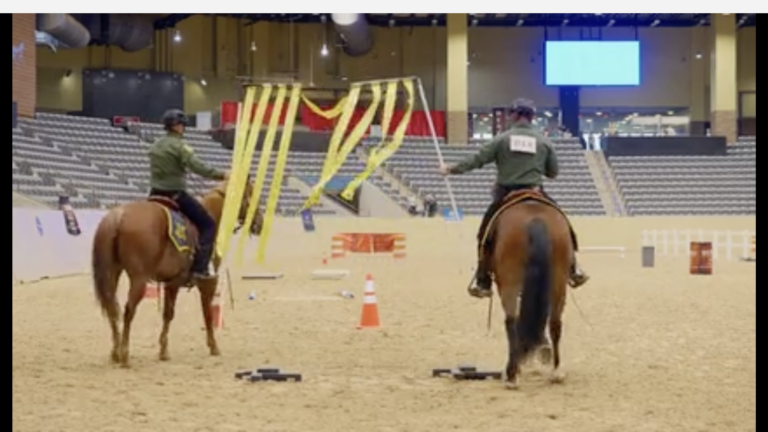 Two counted policemen and their horses train through an obstacle at the National Mounted Police Colloquium