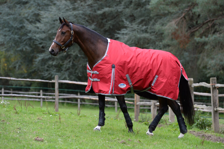 Horse wearing a WeatherBeeta Red blanket