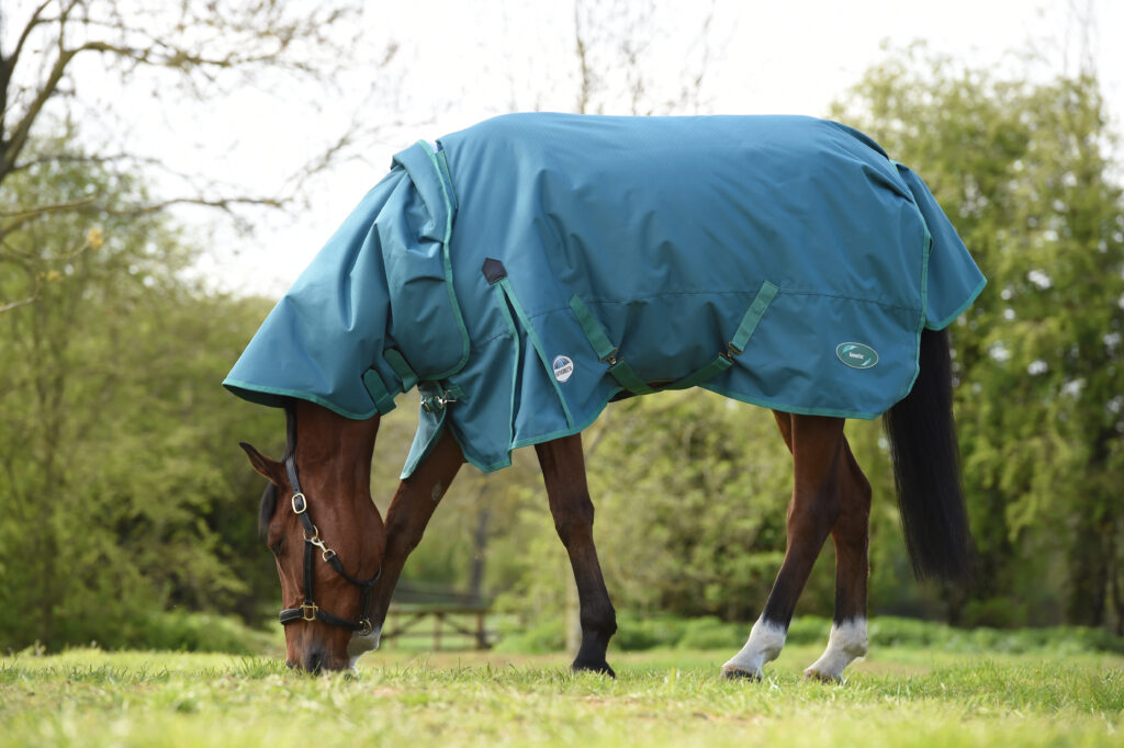 Grazing shot of horse in WeatherBeeta Green-Tec blanket
