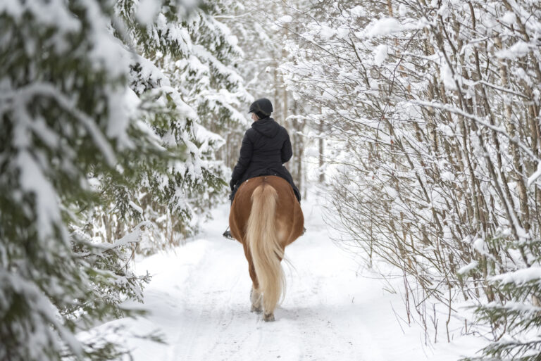 Woman horseback riding in winter forest