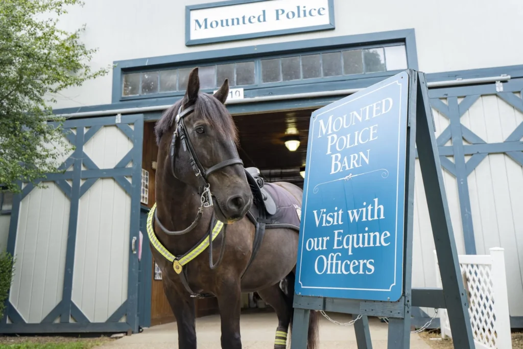 Horse standing in front of barn next to a "Mounted Police Barn" sign