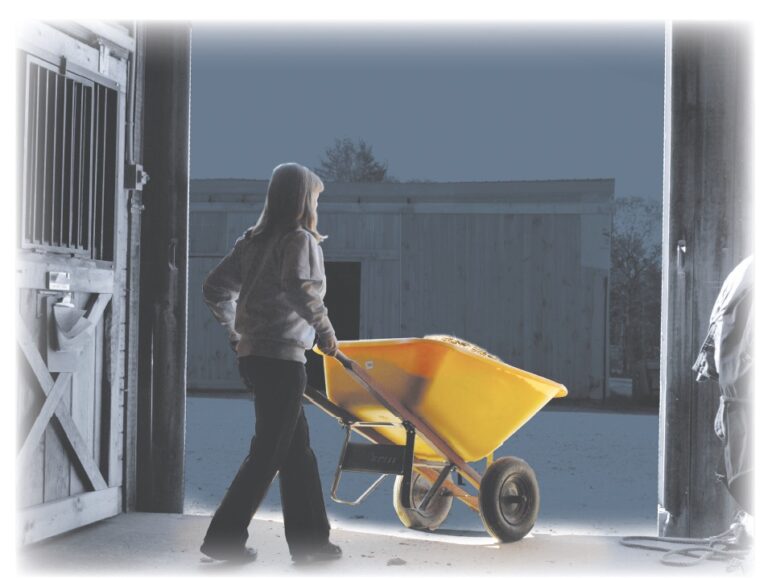 Person pushing wheelbarrow for stall cleaning in barn aisle