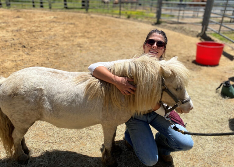 Young woman hugging pony